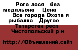 Рога лося , без медальона. › Цена ­ 15 000 - Все города Охота и рыбалка » Другое   . Татарстан респ.,Чистопольский р-н